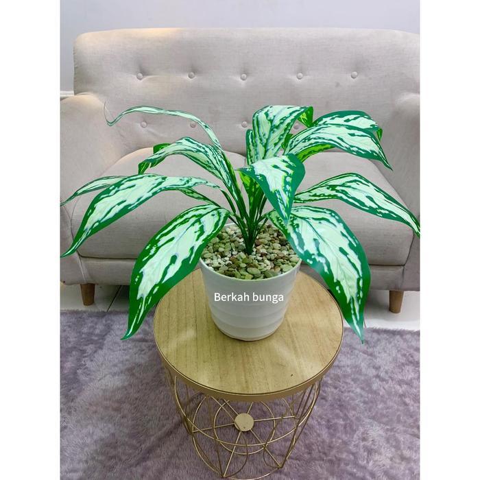 Tanaman hias plastik daun gelombang cinta varigrata artificial jumbo 18 Cabang hiasan dekorasi