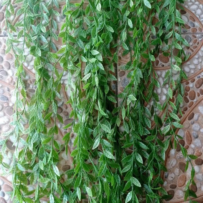 Stok Baru Grosir Bunga Jakarta 12pcs Tangkai Daun Rambat Juntai Artificial Rotan Plastik Lee Kwan