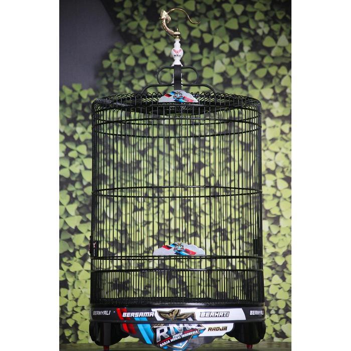 [SANGKAR RADJA] SANGKAR MURAI BATU RMI TERBARU SANGKAR BURUNG MURAH BERKUALIAS SANGKAR NO2 KANDANG M