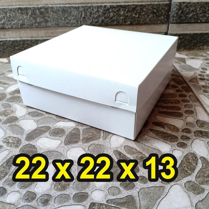 "New" Kotak nasi 22x22x13 cm / box nasi / nasi Kotak / nasi box / nasi padan