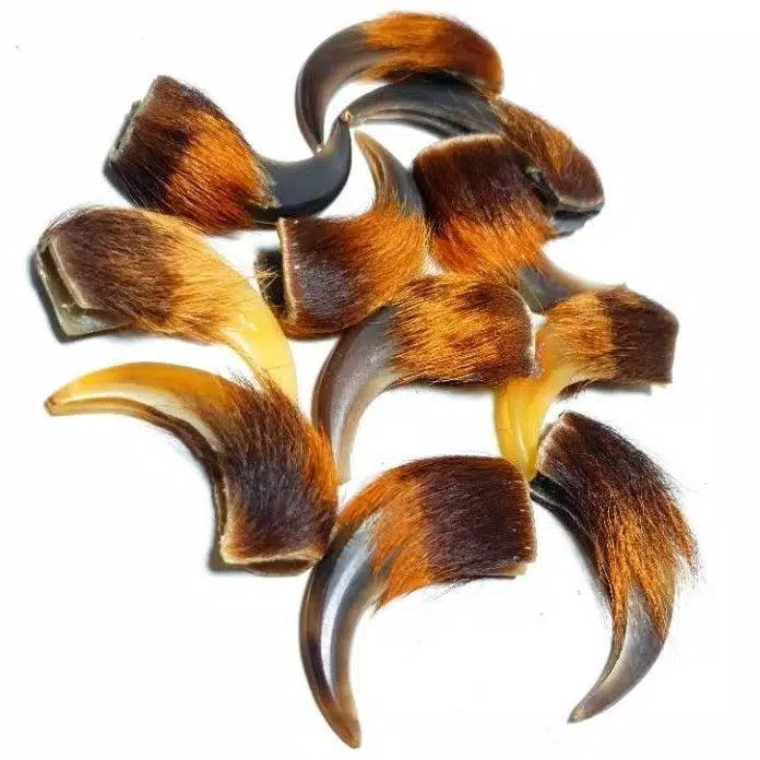 Barang Antik Kuku Macan