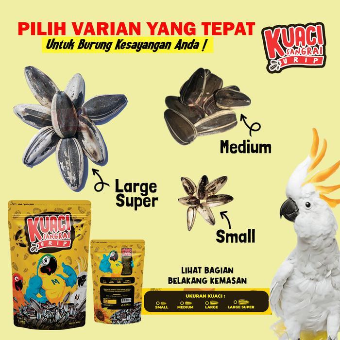 Kuaci Sangrai Super Jumbo Untuk Burung Kakatua Macaw Afgrey Amazon