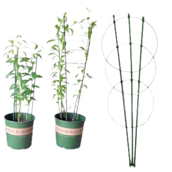 tiang rambatan tanaman Melingkar penyangga tanaman merambat besi 60cm Hijau Plastik Tomat