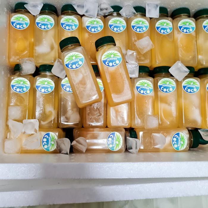 50 botol es kelapa muda jeruk size 250 ml