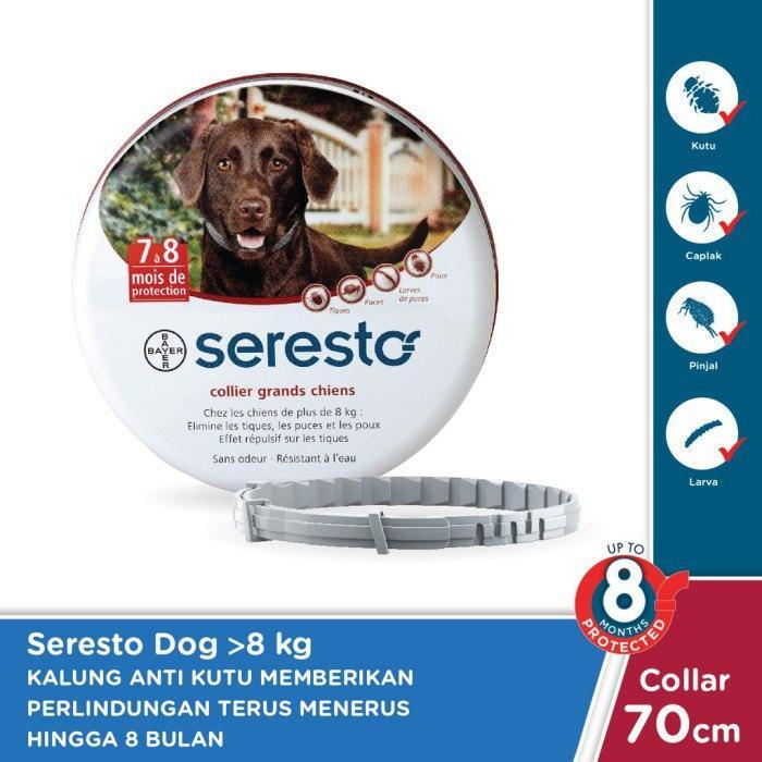 KALUNG ANTI KUTU ANJING PROTEKSI 8 BULAN- SERESTO DOG