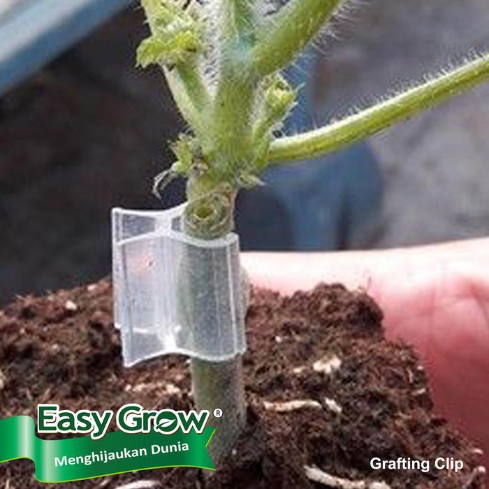 Grafting Clip Tanaman