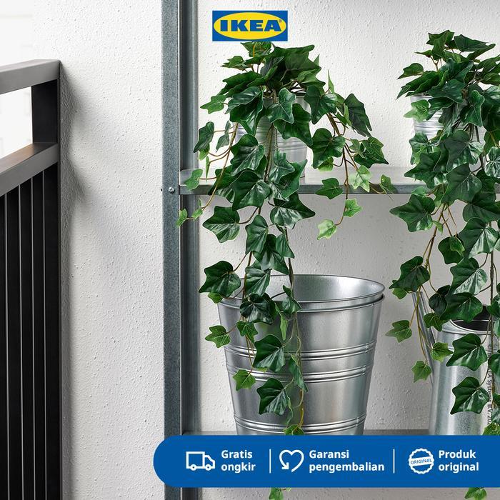 Ikea Fejka Tanaman Hias Gantung Ivy Dalam Pot 12Cm Plastik