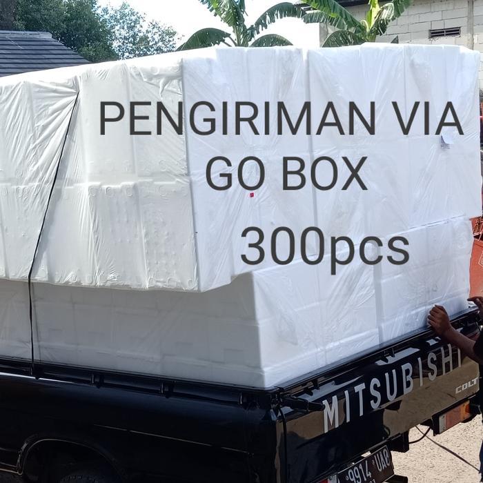 "New" Styrofoam box/ Sterofoam Ikan Beku / Sterofoam Daging Beku / Cool box