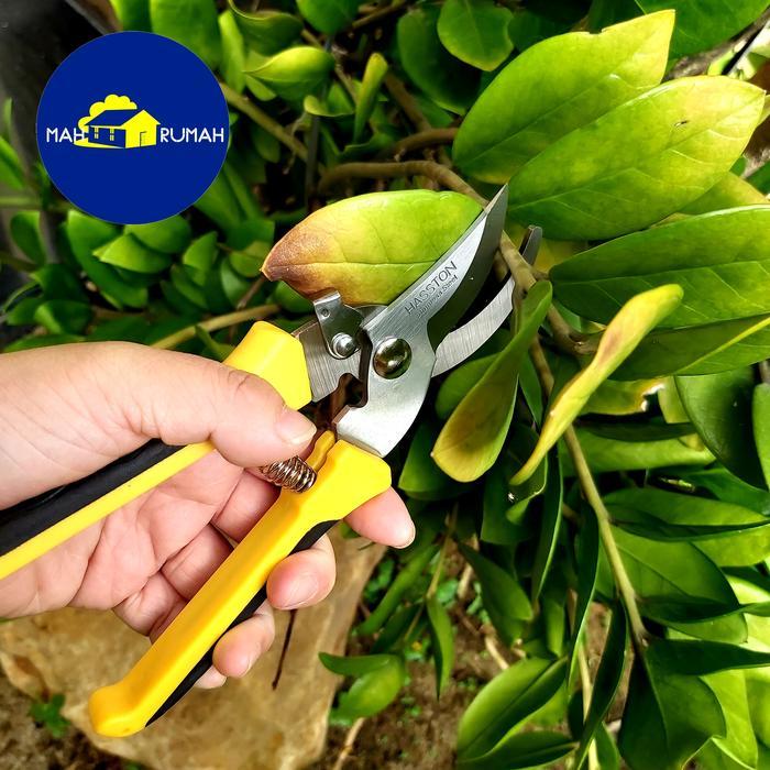 SALE Gunting Dahan Stek Stainless Bonsai 8" 8inch - HASSTON PROHEX 1353-005 TERMURAH