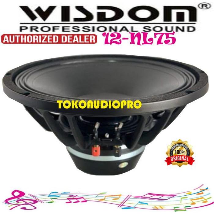 Wisdom 12Nl75 12-Inch Speaker Komponen Wisdom 12-Nl75 Nedynium Magnet Component Speaker 12-Nl-75 Co