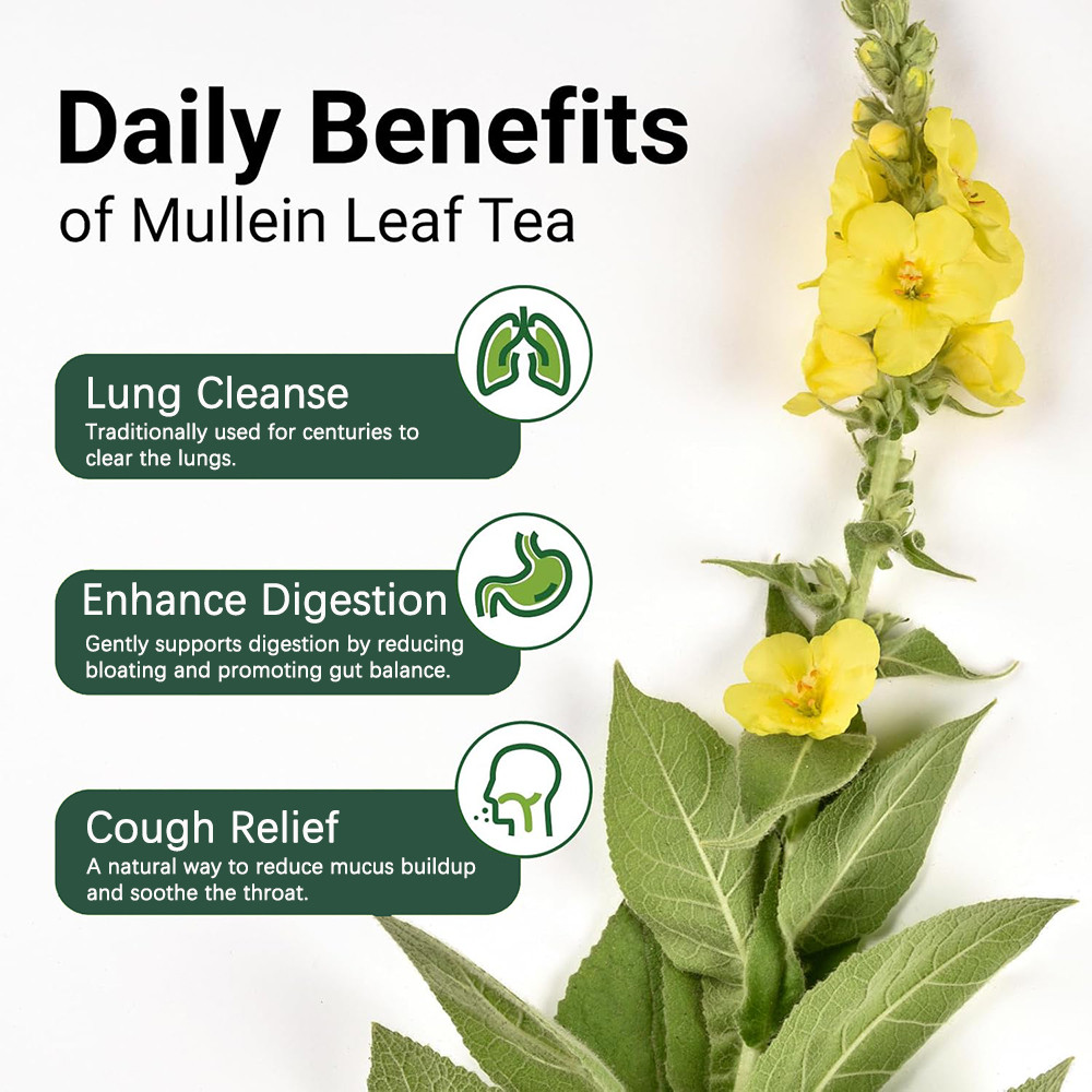 Mullein Leaf Tea Bags - Lungs Cleanse and Respiratory Support,100% Pure Natural Premium Mullein Leaf