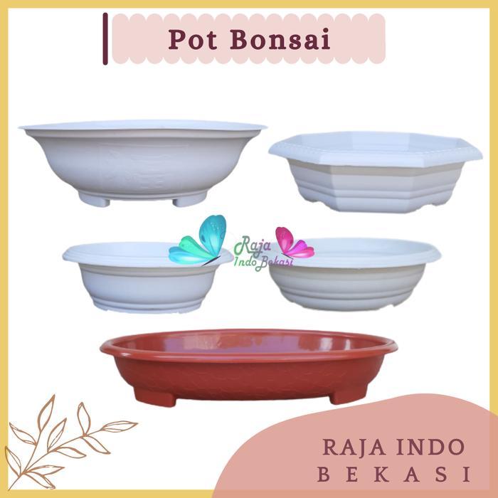 Pot Bonsai Plastik Hitam Putih Murah Pot Bonsai Besar Kecil 20 25 30
