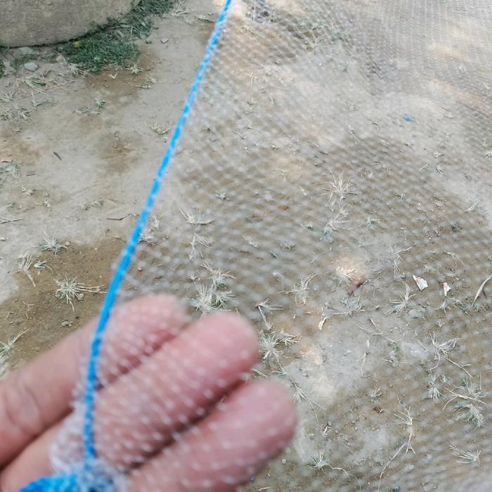 ASLI Jaring anco lubang paling kecil 3/8 incihi untuk ikan kecil dan udang READY STOCK