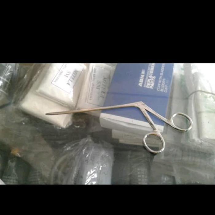 ALIGATOR FORCEP 14 CM