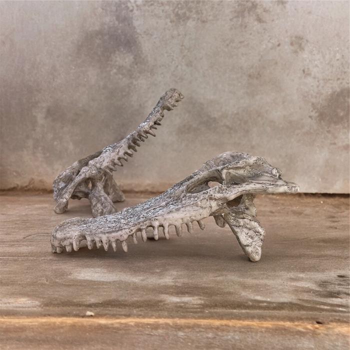 Tengkorak Buaya Hiding Cave Hiasan Aquarium / Alligator Skull / Tempat Sembunyi Hewan
