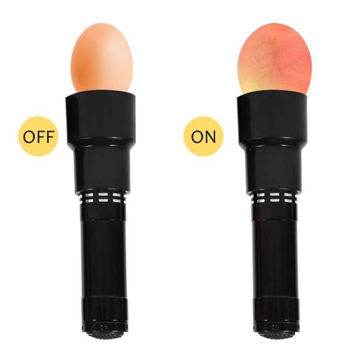 Lampu Senter Teropong Telur Burung Murai Kacer Lovebird Dll High Quality Product