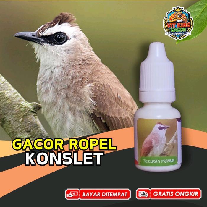 Vitamin Burung Trucukan Gacor
