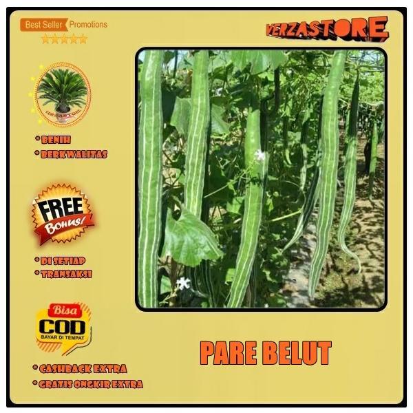 Biji Benih Pare BELUT Paria Panjang / 1 biji