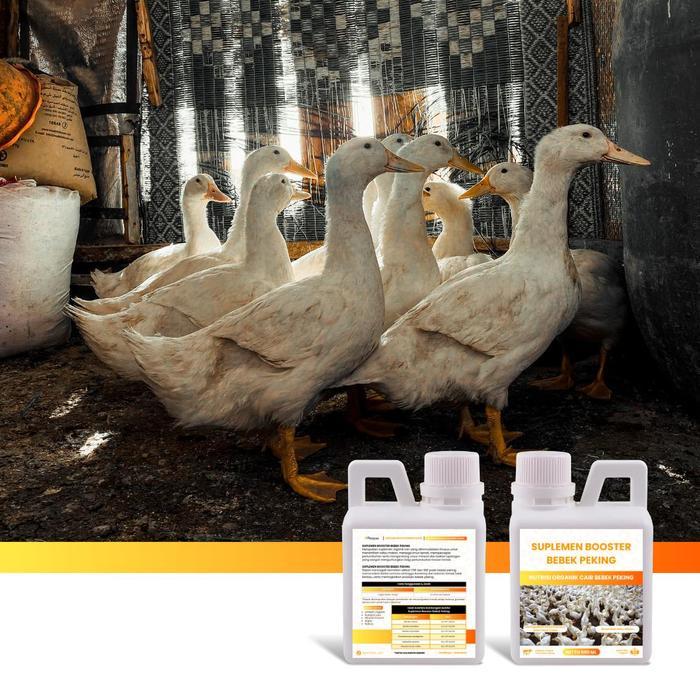 Najwa Gadget [Bisa ] Suplemen Booster Bebek Peking / Pedaging 500 Ml - Suplemen Organik Cair Untuk