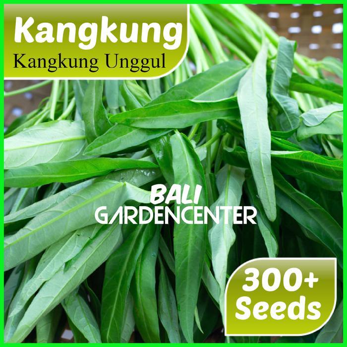 BENIH BIJI KANGKUNG DARAT - KANGKUNG UNGGUL