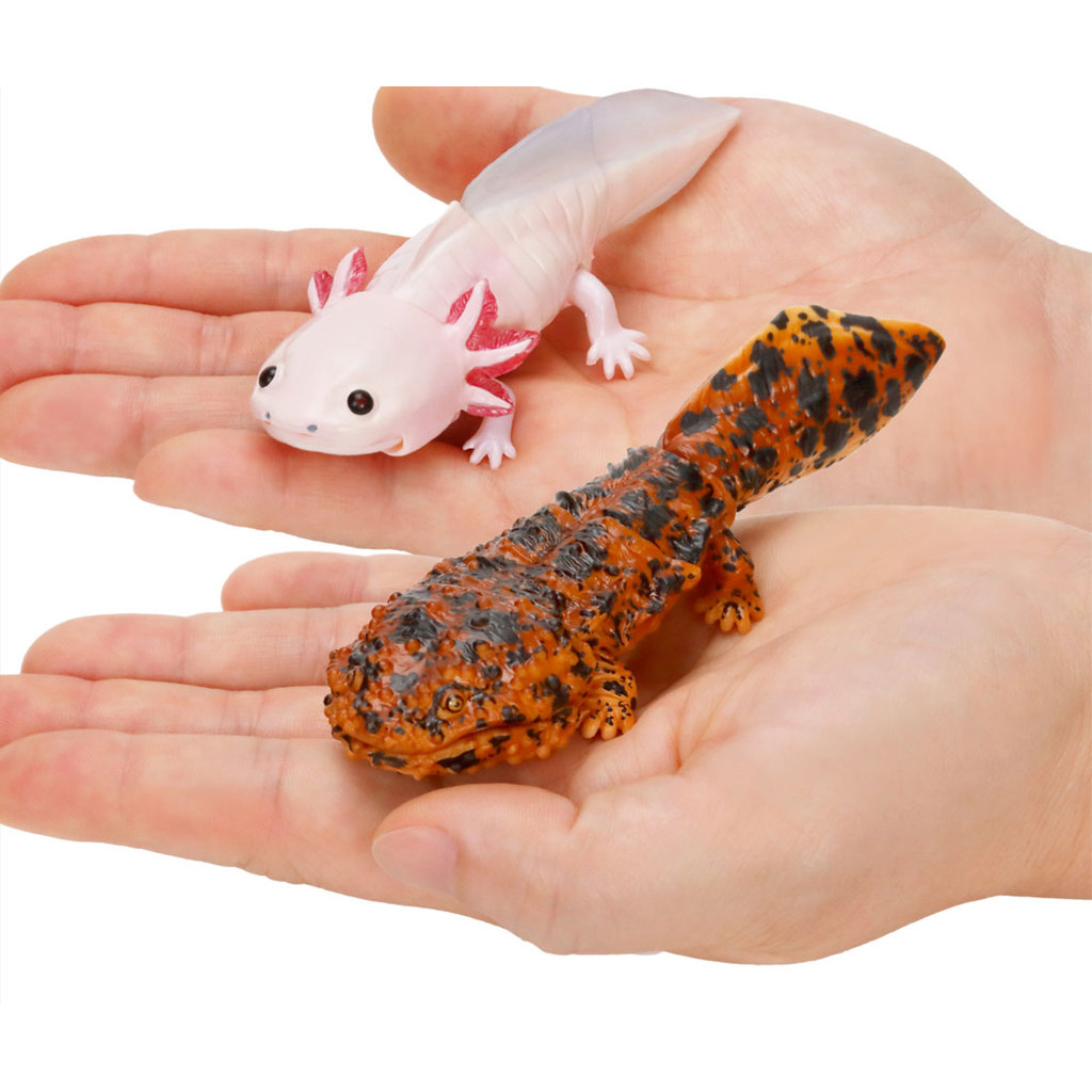 Ikimono repti Giant Salamander and Mexican axolotl figure bandai capsule toy