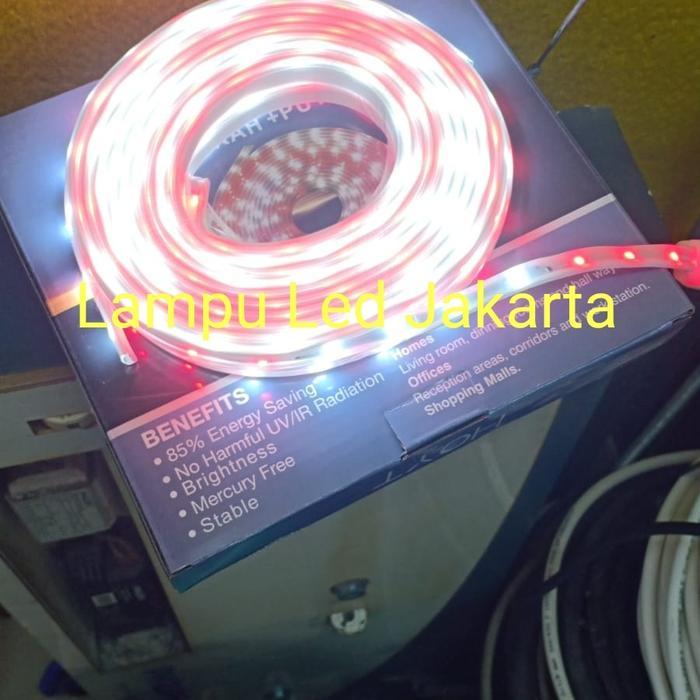LAMPU LED SELANG MERAH PUTIH 7METER SIAP NYALA. LAMPU SELANG KELAP KELIP MERAH PUTIH. LED SELANG