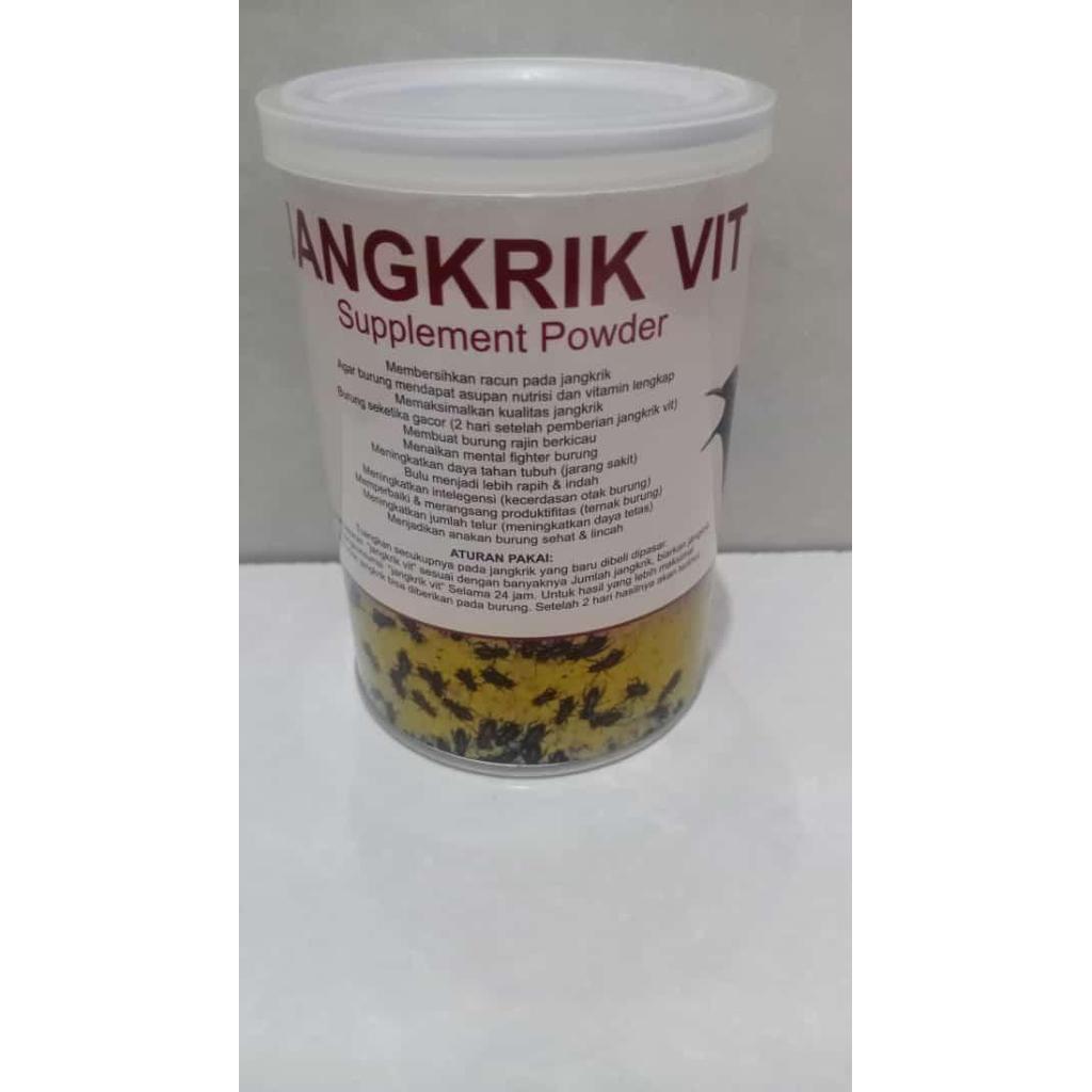 PAKAN KHUSUS JANGKRIK UNTUK BURUNG MURAI KACER CENDET JANGKRIK VIT