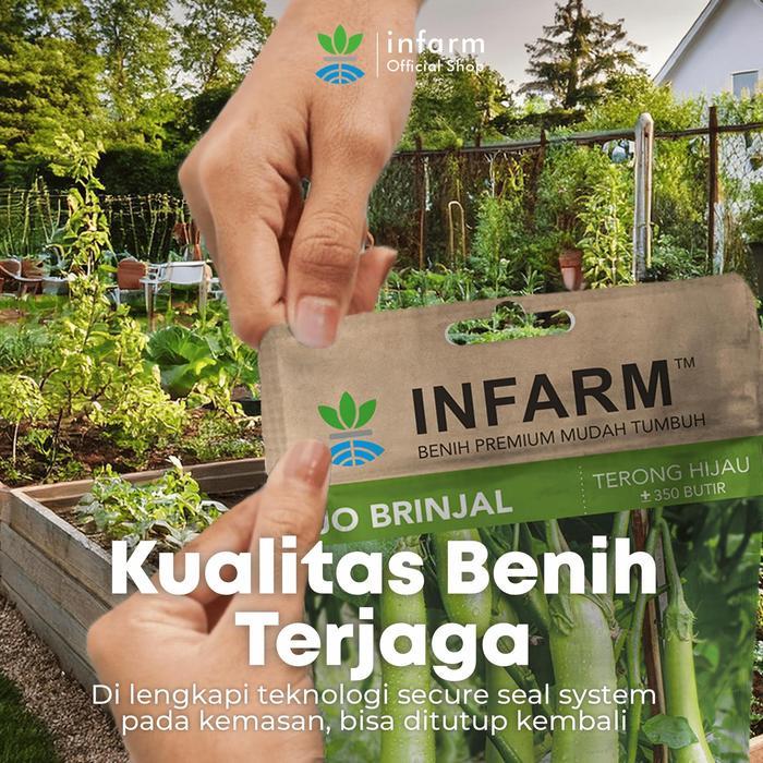 INFARM - BENIH BIBIT SAYUR TERONG BENIH JOBRINJAL BIBIT BENIH UNGGUL F1 BENIH BIBIT SAYUR SAYURAN