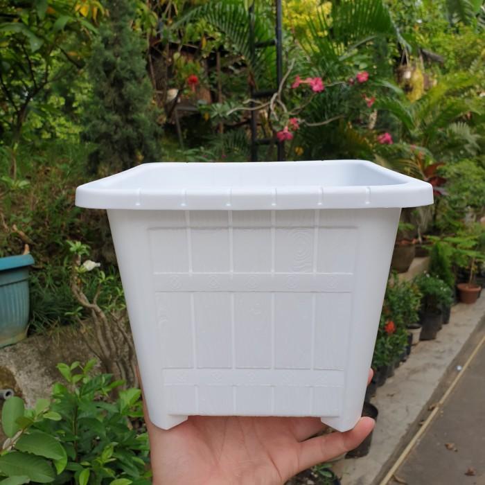LOVENIA SEGI PSG 25 pot bunga plastik putih bersih kotak tebal motif gentong