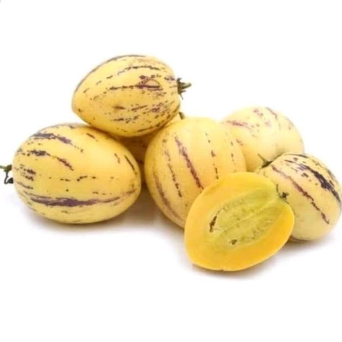 "New" Benih Melon Pepino / Melon Mini ( 20 Butir )