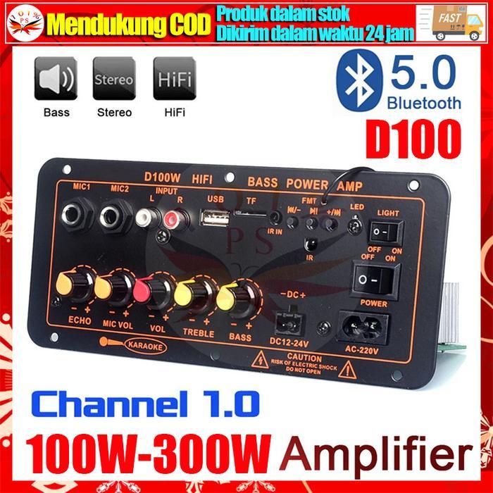 D100 Amplifier Board Bluetooth 5.0 Subwoofer 10 Inch 12Inch DIY 300W AC 220V 12V 24V Kit Mobil HIFI