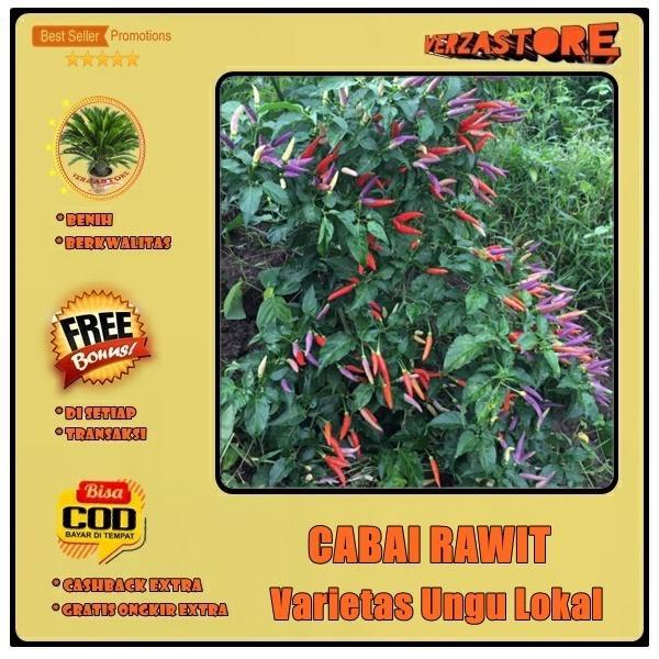 Biji Benih Cabe Solo Dua Cabai Varietas Ungu Lokal CJS 2 Super Sidrap /10 Biji