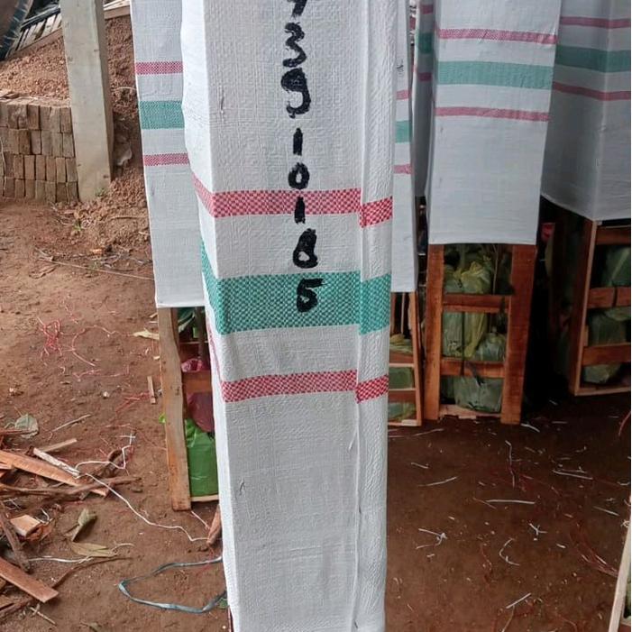 Najwa Gadget Bibit Durian Premium Kaki 3 Tinggi 2 Meter