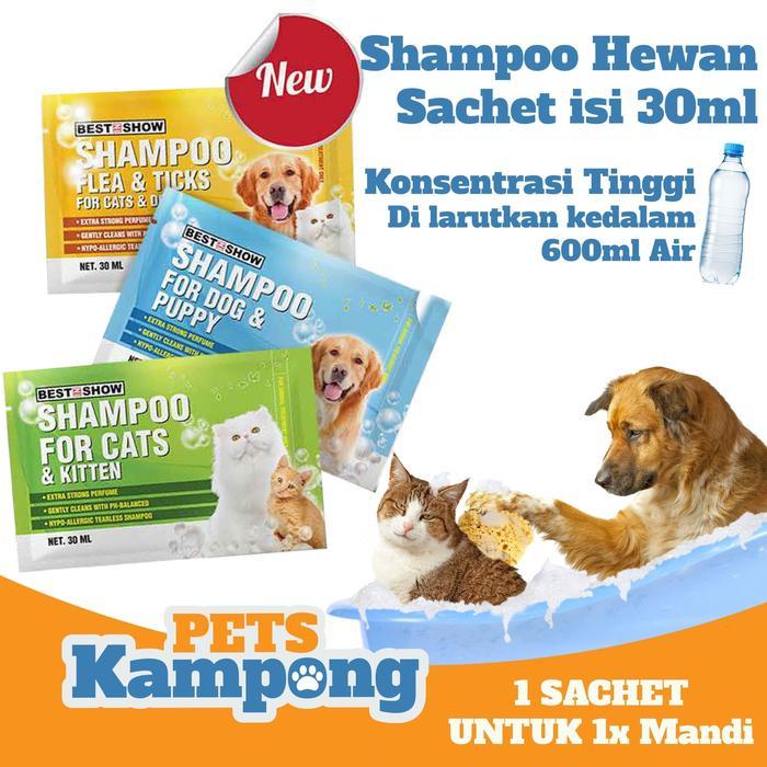Shampoo hewan anjing kucing shampoo kutu