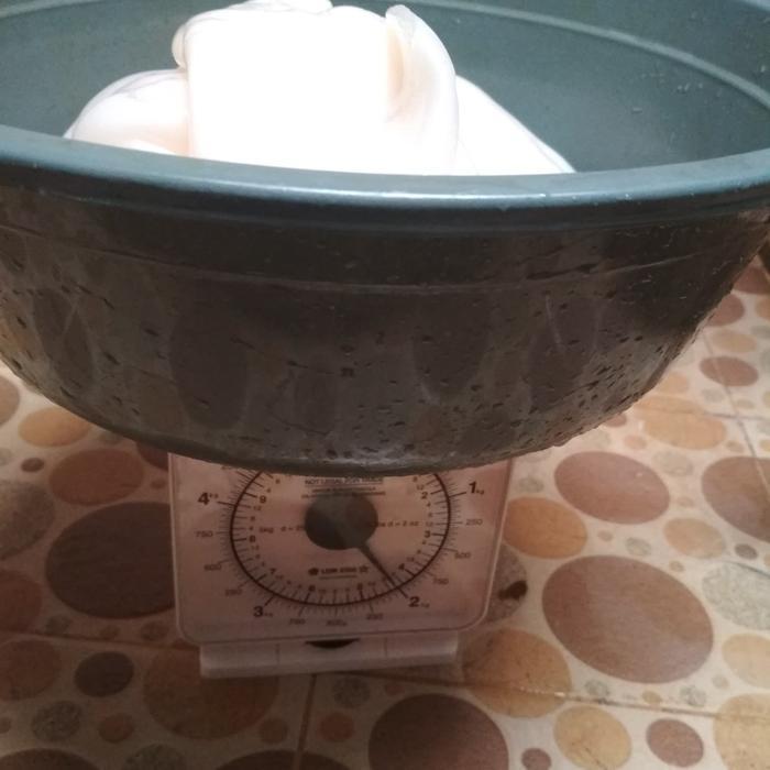 Nata De Coco Lembaran Press