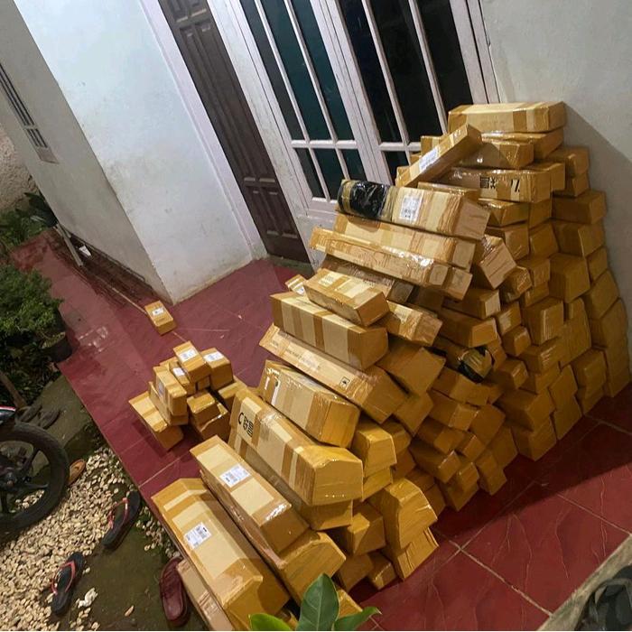 "New" paket 3 aglonema tanamanhias aglonema -aglonema rotundum aceh - aglonema lipstik merah aurora