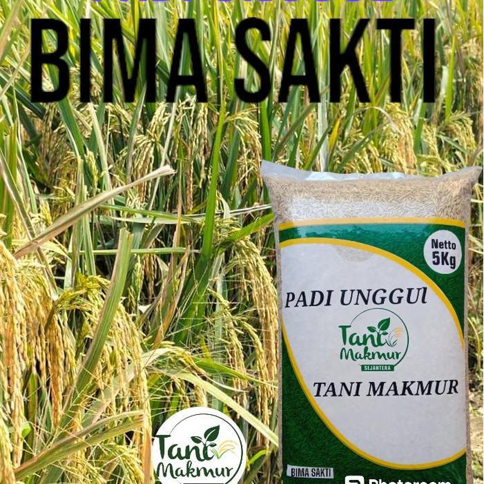 Serasiinspace Benih Padi Bima Sakti 5Kg - Tani Makmur Original
