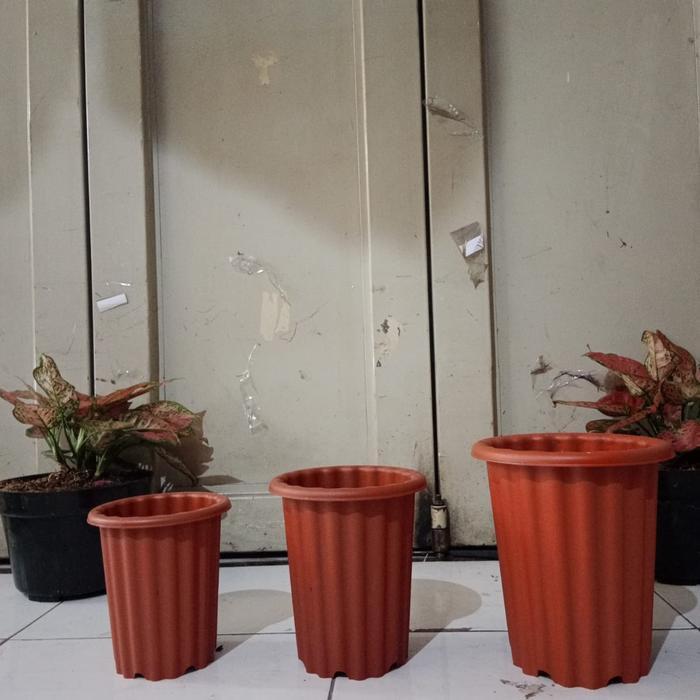 "New" pot tinggi model yogap, pot Swiss warna, pot bunga tinggi, aglonema
