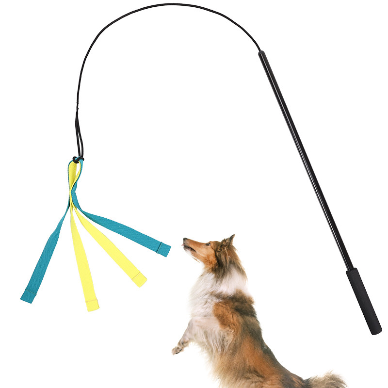 Dog Interactive Flirt Pole Toys Durable Interactive Toy Outdoor Activities Dog Training Toys Pet