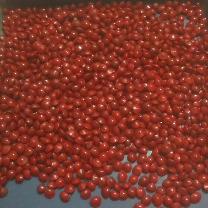 "New" biji saga merah atau biji saga pohon