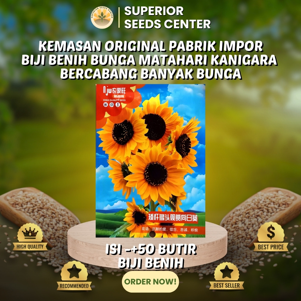 50 Butir Biji Benih Bunga Matahari Kanigara | Bercabang Banyak Bunga (Kemasan Original Pabrik Impor)