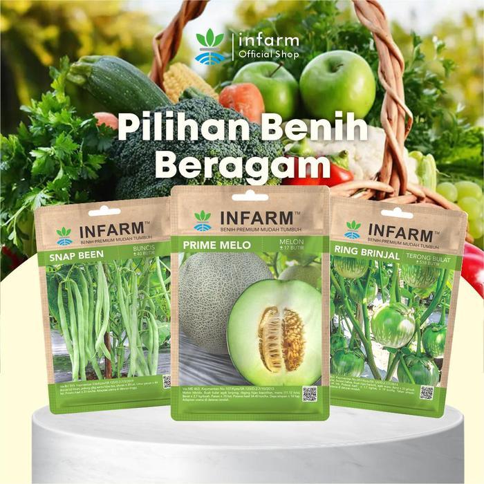 INFARM - INFARM- BENIH TERONG LALAP RING BRINJAL BULAT INFARM - HIJAU LURIK BIJI BENIH BUAH TERONG