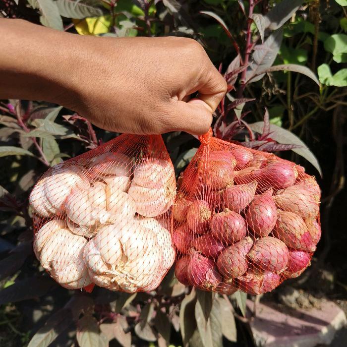 "New" Bawang Merah dan Bawang Putih Mix kemasan 500 gr Kecombrang