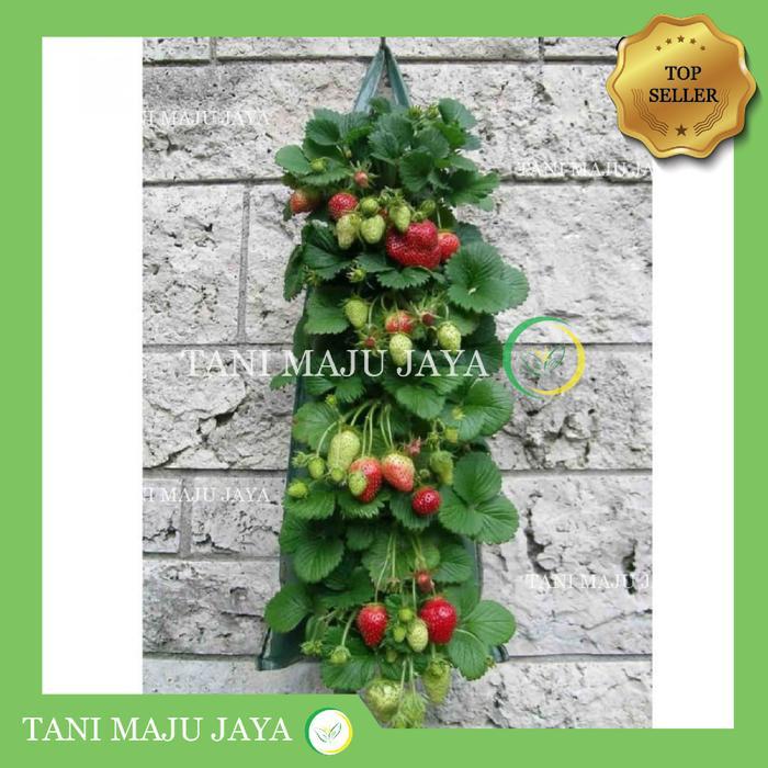 Plant Pouch Planter Bag 5 Slits PlanterBag Kantong Pot Keranjang Tanaman Hias Bunga Gantung