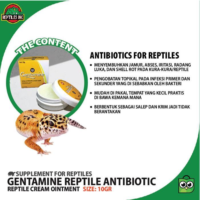 GENTAMINE SALEP OBAT ANTIBIOTIK REPTIL / LUKA JAMUR SHELL ROT IRITASI