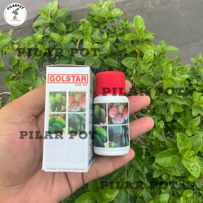 PUPUK MEMPERCEPAT BUAH GOLDSTAR 30ML
