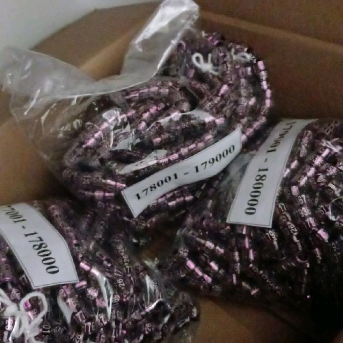 10Biji Ring Merpati Balap Ppmbsi 2026