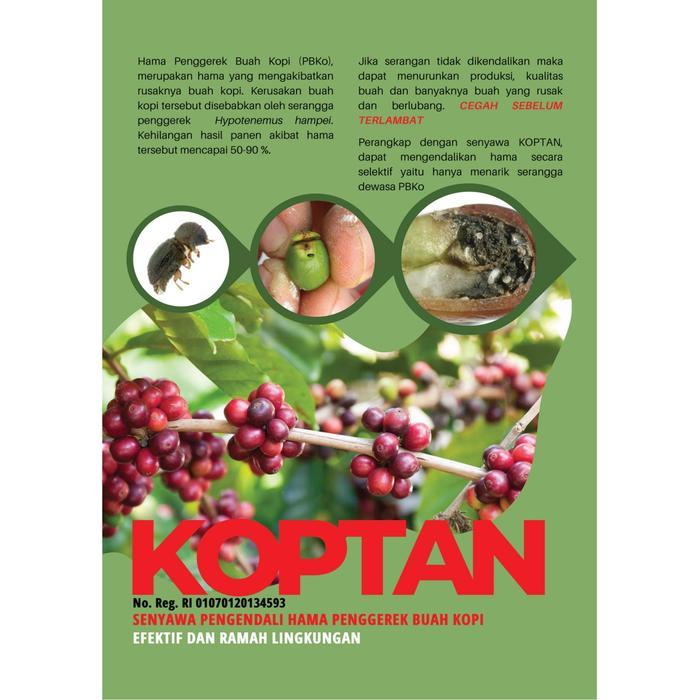 "New" Feromon & Perangkap Hama Penggerek Buah Kopi PBKo KOPTAN