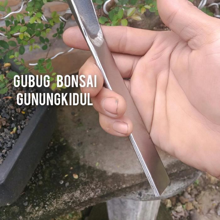 Pahat Bonsai Model Kol Kualitas Premium