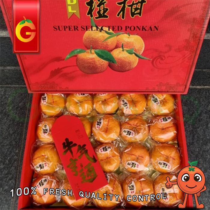 Spesial Gift Imlek - Jeruk Ponkam Hdl Isi 20 Pcs